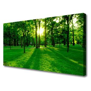 Canvas print Forest Nature Brown Green