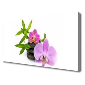 Canvas Wall art Flower Stones Floral Pink Black