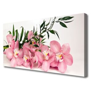 Canvas Wall art Petals Floral Pink Green