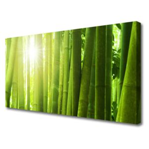Canvas print Bamboo Floral Green