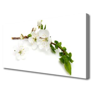 Canvas print Flower Branch Nature White Brown Green