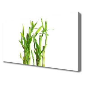 Canvas print Bamboo Stalks Floral Green