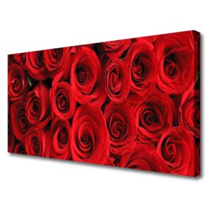 Canvas print Roses Floral Red