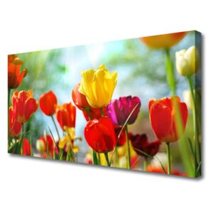 Canvas print Flowers Floral Red Yellow Pink Green