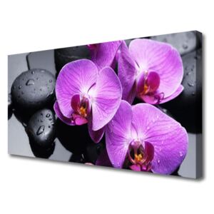 Canvas print Flower Stones Floral Purple Black