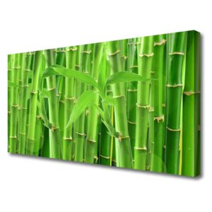Canvas print Bamboo Stalk Floral Green