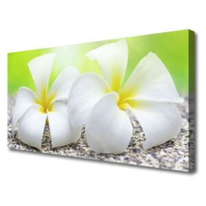 Canvas print Flowers Floral White