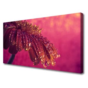 Canvas Wall art Tree Floral Red