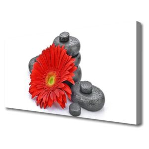 Canvas Wall art Flower Stones Floral Red Grey
