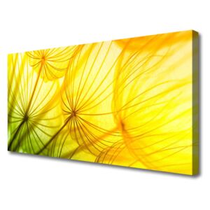 Canvas Wall art Dandelion Floral Green Yellow