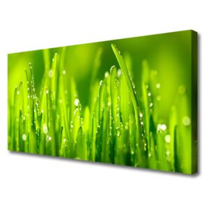 Canvas Wall art Weed Nature Green