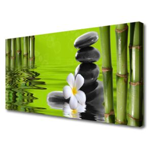 Canvas print Bamboo Tube Flower Stones Art Green Black White