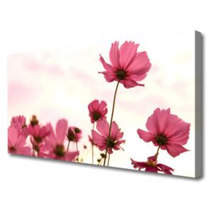 Canvas Wall art Flowers Floral Pink