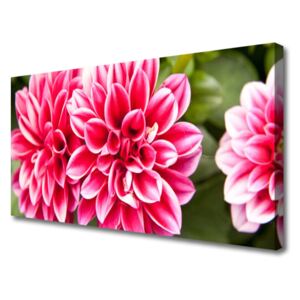 Canvas Wall art Flowers Floral Red White