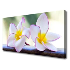 Canvas Wall art Flowers Floral Green Pink