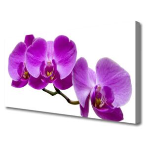 Canvas print Flowers Floral Purple Brown