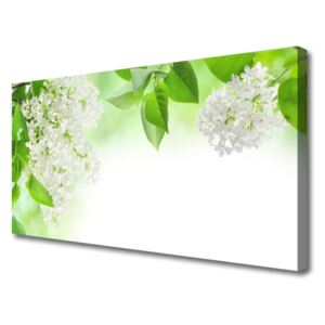 Canvas print Petals Floral White Green