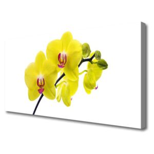 Canvas Wall art Flowers Floral Green