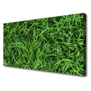 Canvas print Grass Lawn Floral Green