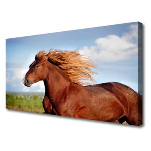 Canvas print Horse Animals Brown Blue Green