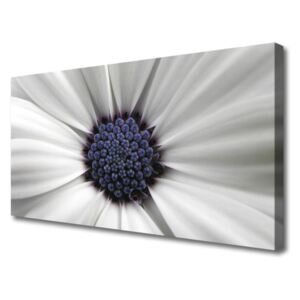 Canvas print Flower Floral White Grey Purple