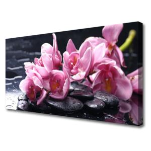Canvas print Flower Stones Floral Pink Black
