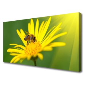 Canvas Wall art Wasp Flower Floral Black Yellow