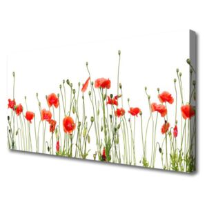 Canvas Wall art Poppies Floral Red Green