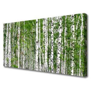 Canvas print Birch Forest Trees Nature Green White