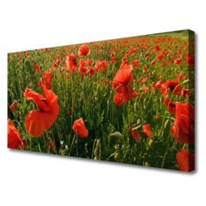 Canvas Wall art Poppies Nature Red Green