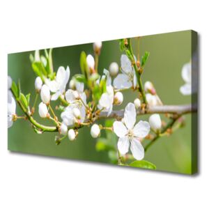 Canvas Wall art Branches Flowers Floral Green White