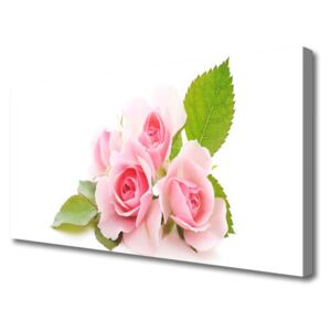 Canvas Wall art Roses Floral Pink