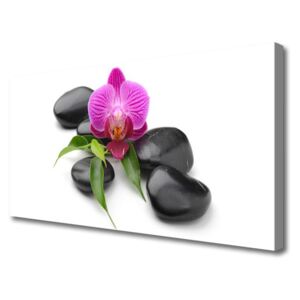 Canvas print Flower Stones Art Pink Black