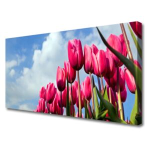 Canvas print Tulip Floral Pink Green