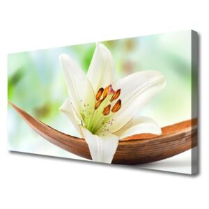 Canvas Wall art Flower Floral White