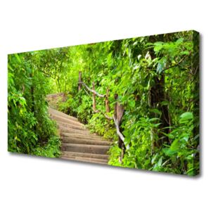 Canvas print Stairs Nature Brown Green