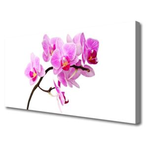 Canvas print Flowers Floral Pink Brown