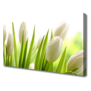Canvas print Tulips Floral White Green