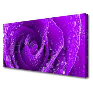 Canvas print Rose Floral Purple