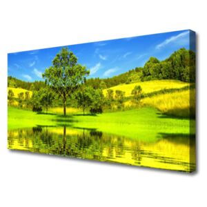 Canvas Wall art Meadow Tree Nature Green Brown