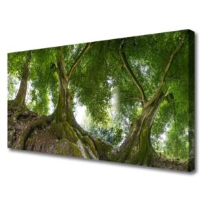Canvas Wall art Trees Nature Brown Green