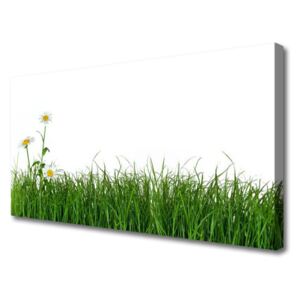 Canvas print Weed Nature Green
