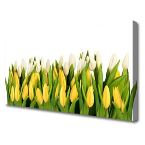 Canvas print Tulips Floral Yellow Green