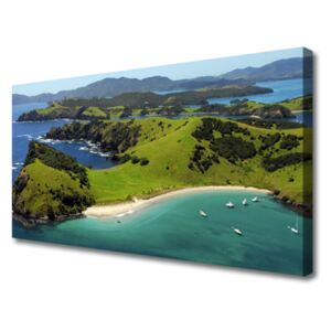 Canvas print Sea Beach Forest Landscape Blue Brown Green