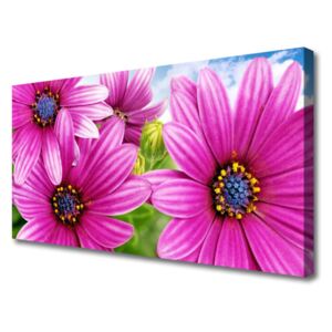 Canvas print Flowers Floral Pink Yellow Blue