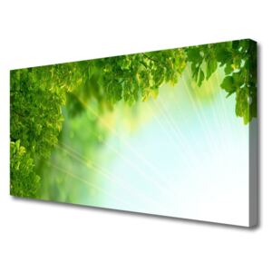 Canvas Wall art Leaves Nature Green