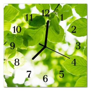Glass Kitchen Clock Leaves Flowers & Plants Green