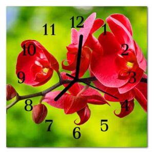 Glass Wall Clock Orchid Flowers Red