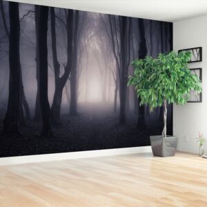 Wallpaper Dark Forest