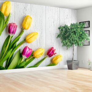 Wallpaper Yellow Tulips